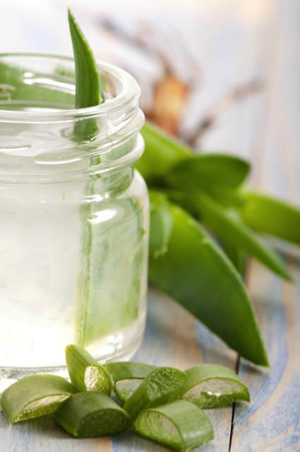 Cách pha nha đam đường phèn ngọt thanh không đắng giải nhiệt mùa nóng - Ảnh 7 Cach pha nha dam duong phen ngot thanh khong dang giai nhiet mua nong - Anh 7