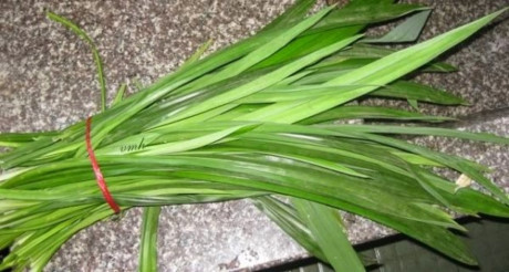 Cách pha nha đam đường phèn ngọt thanh không đắng giải nhiệt mùa nóng - Ảnh 4 Cach pha nha dam duong phen ngot thanh khong dang giai nhiet mua nong - Anh 4