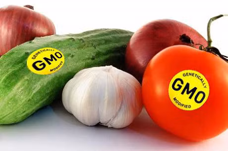 Nguoi tieu dung hoang mang voi thuc pham bien doi gen - Anh 2
