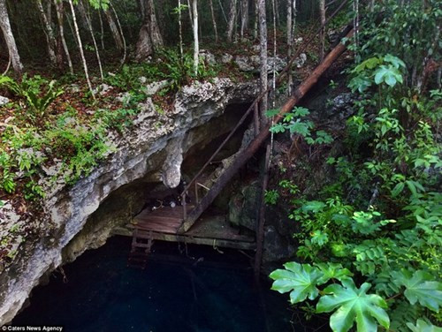 Choáng ngợp vẻ đẹp trong hố tử thần của người Maya - ảnh 3