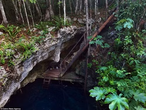 Choáng ngợp vẻ đẹp trong hố tử thần của người Maya ảnh 4 Choáng ngợp vẻ đẹp trong hố tử thần của người Maya - ảnh 3