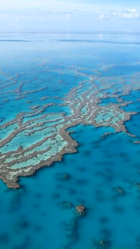 nhung hon dao lang man ban nen ghe tham hinh 3