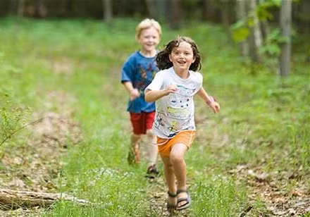 Ảnh minh họa: Internet