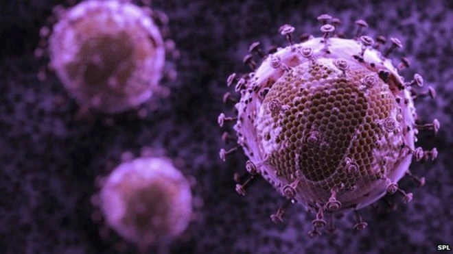 Một cô gái 18 tuổi mắc HIV từ khi mới sinh nhưng đã kiểm soát được lượng virus HIV ở mức thấp trong cơ thể sau 12 năm ngừng sử dụng thuốc.
