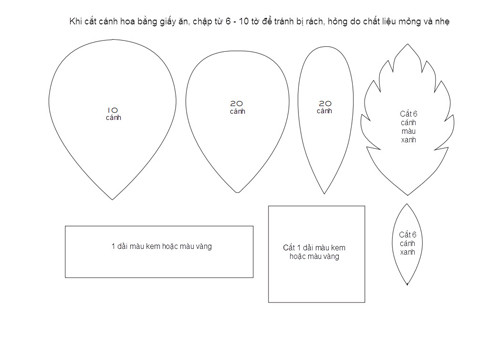 Ngất ngây hoa hồng ngoại nở to bằng khăn giấy - 2