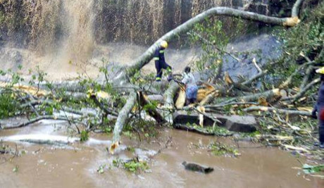 Gió bão lật đổ cây khiến 20 sinh viên thiệt mạng tại Ghana - Ảnh 1 Gio bao lat do cay khien 20 sinh vien thiet mang tai Ghana - Anh 1