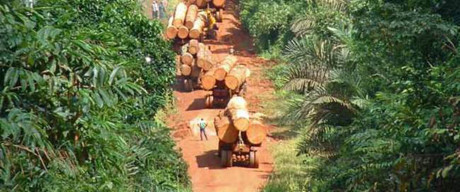 Tiết lộ cuộc sống ít người biết của bộ tộc châu Phi nguyên thủy nhất thế giới - Ảnh 10 Tiet lo cuoc song it nguoi biet cua bo toc chau Phi nguyen thuy nhat the gioi - Anh 10