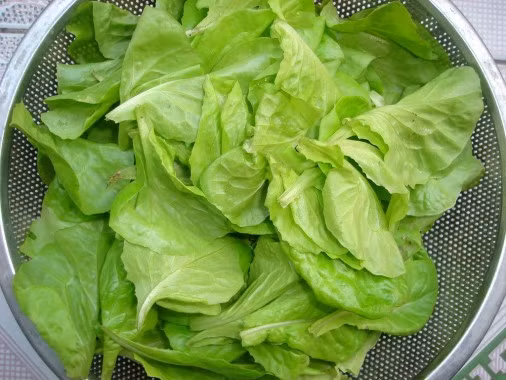 Phở cuốn thơm ngon, hấp dẫn cho ngày cuối tuần - Ảnh 2