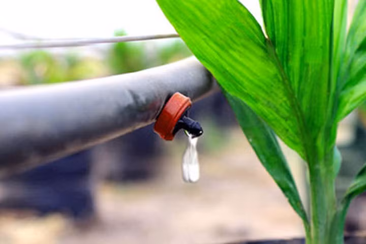 Nông nghiệp công nghệ cao "Made in Israel"