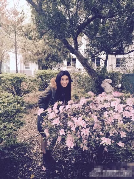 Ôn Bích Hà – nhan sắc 18, tuổi tròn 50 - Ảnh 5