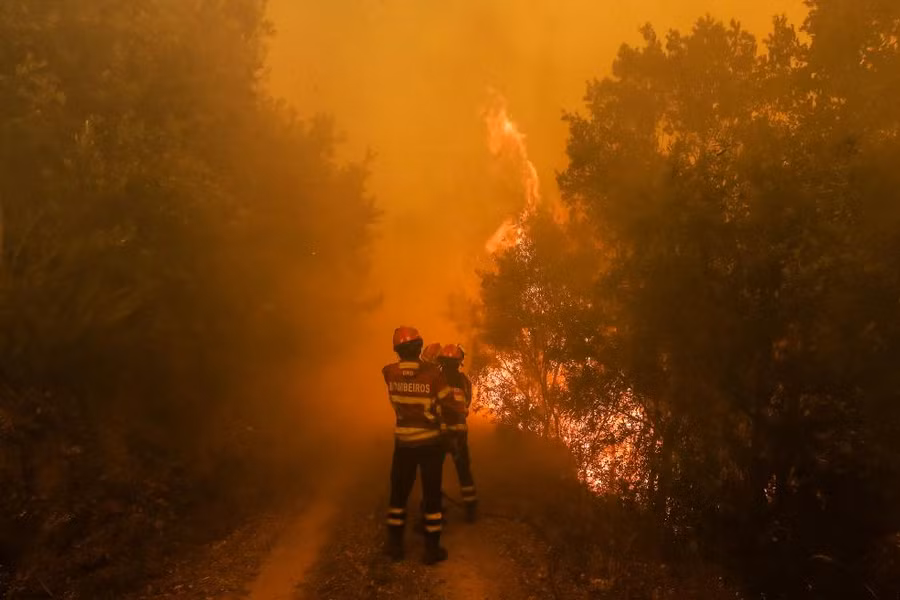 Lính cứu hỏa chiến đấu với hỏa hoạn gần ngôi làng Sandinha, Thổ Nhĩ Kỳ