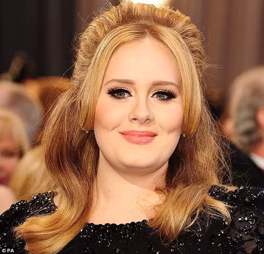  Adele có thể sẽ lại ở ẩn 