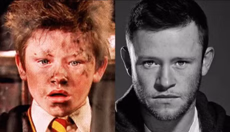 Dan dien vien phu Harry Potter ngay ay – bay gio - Anh 12