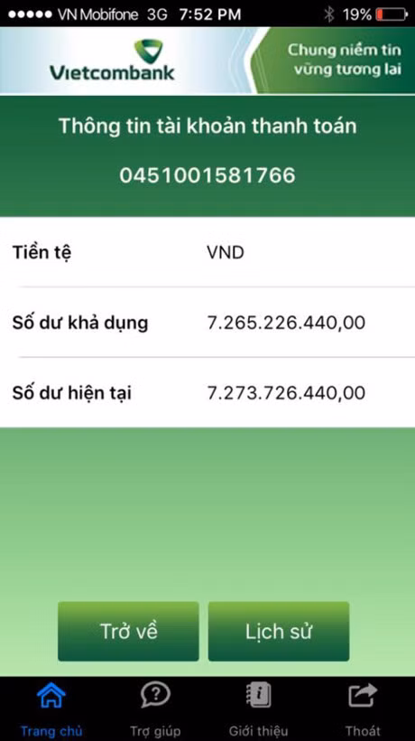 Nghe si Viet dong loat keu goi cong dong chung suc ung ho mien Trung - Anh 1