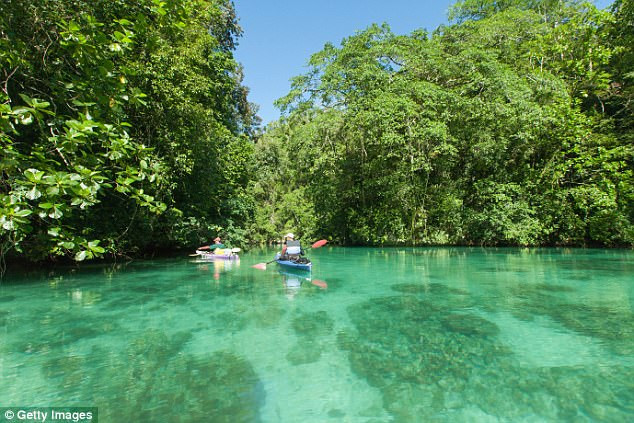 Palau càng hấp dẫn khách du lịch sau khi thông tin về chiếc máy bay được lan truyền trên Internet Palau càng hấp dẫn khách du lịch sau khi thông tin về chiếc máy bay được lan truyền trên Internet