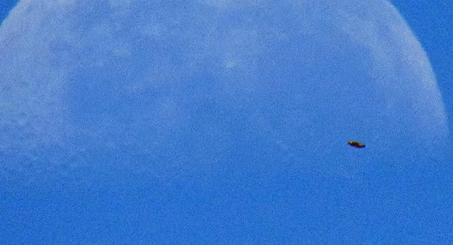 Hình ảnh một "UFO" được ghi lại.