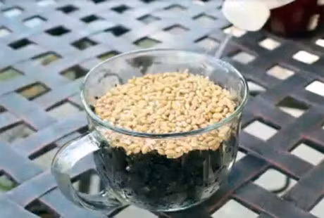 Trong rau lon vu vu bang bim tre em: Kho tin nhung co that - Anh 10