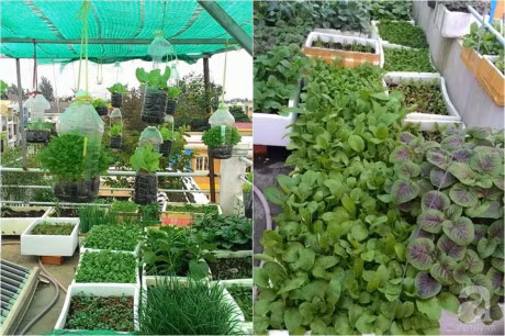 San thuong 70m² bat ngan rau qua sach cua doi vo chong tre o Sai Gon - Anh 2