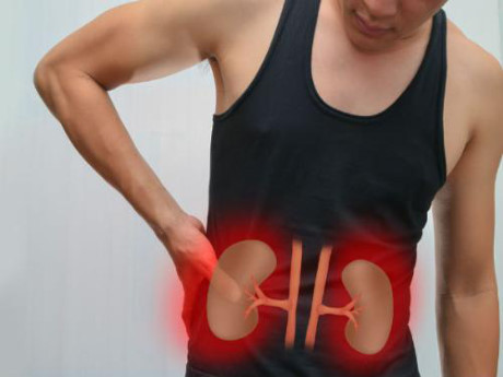 Tự ý dùng thuốc nam chữa sỏi thận: Coi chừng tử vong - Ảnh 3 Tu y dung thuoc nam chua soi than: Coi chung tu vong - Anh 3