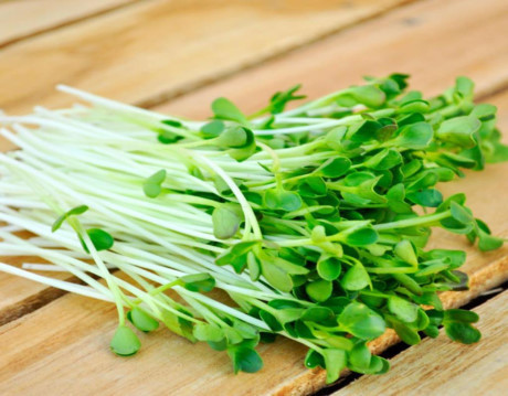 7 thực phẩm vô cùng cần thiết cho các cô dâu tương lai - Ảnh 1 7 thuc pham vo cung can thiet cho cac co dau tuong lai - Anh 1