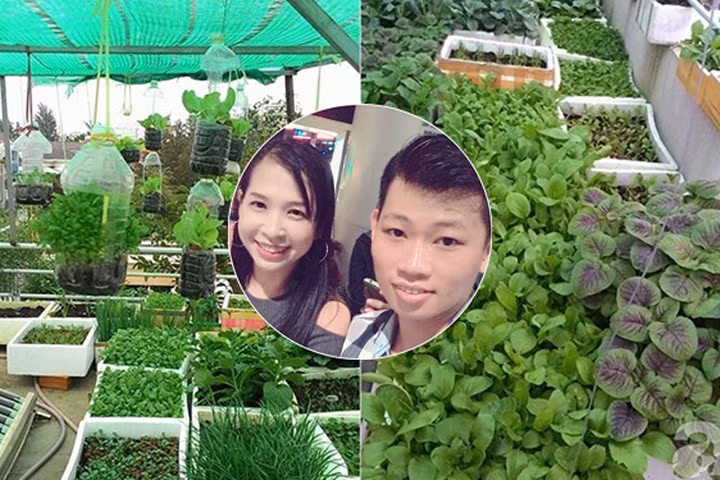 Sân thượng 70m² bạt ngàn rau quả sạch của đôi vợ chồng trẻ ở Sài Gòn