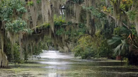 10 canh ngoai doi dep nhu co tich trong phim Disney - Anh 14