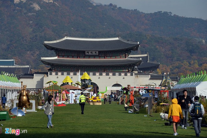 Tại bãi cỏ của quảng trường Gwanghwamun thường xuyên diễn ra các cuộc triển lãm của các ngành công nghiệp, thương mại Hàn Quốc và quốc tế. Con đường VIP ở thủ đô Seoul