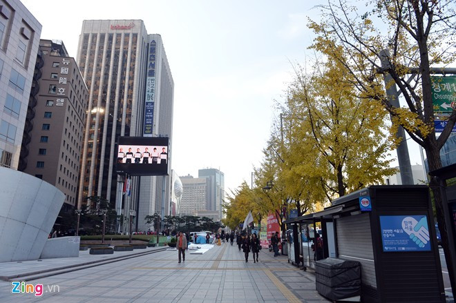 Vỉa hè rất rộng, có đoạn ước tính dài hơn 20 m. Du khách đến đây có thể thong dong dạo chơi hai bên đường hoặc trên quảng trường chính giữa đại lộ. Con đường VIP ở thủ đô Seoul