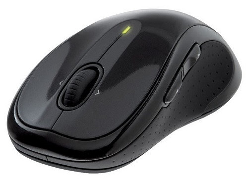 Một số chuột máy tính có trang bị nút Back và Forward ở bên hông.