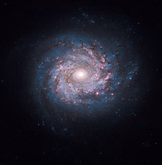  Nhiều giả thuyết cho rằng có vô số các vũ trụ đang tồn tại song song với chúng ta. 