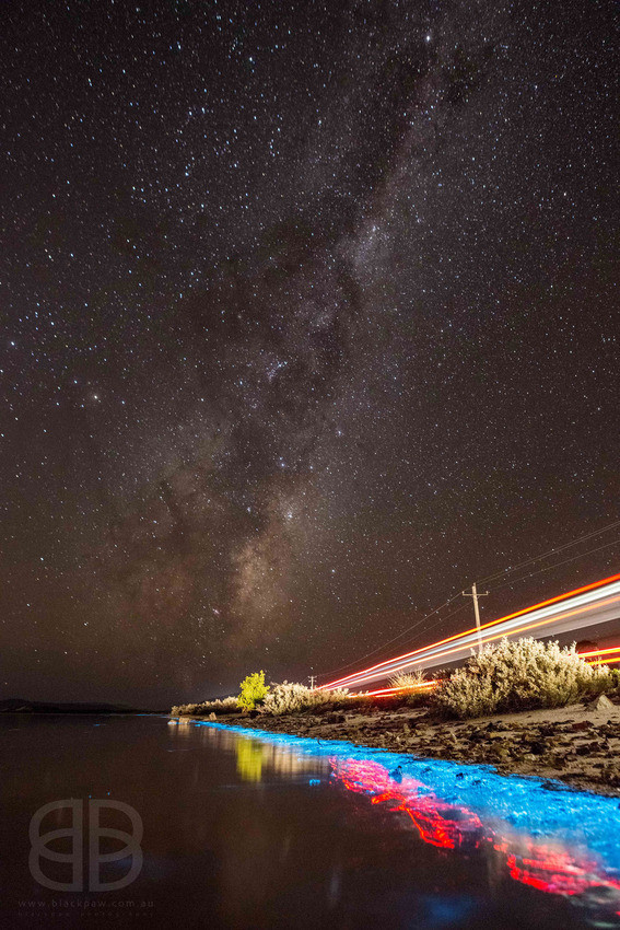 Ảnh: Blackpaw Photography Ảnh: Blackpaw Photography
