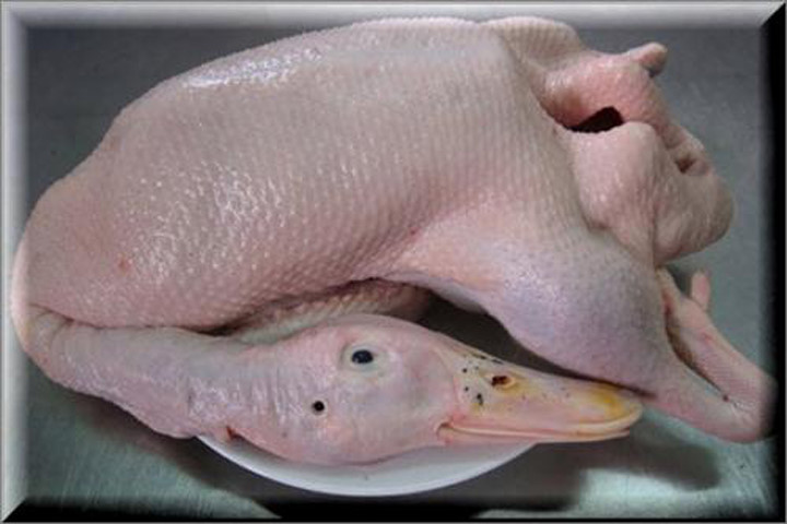 Mẹo đơn giản nhất để nhổ lông vịt thật nhanh, sạch sẽ, không còn mùi hôi