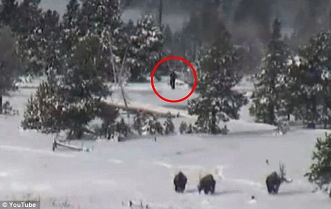 Sinh vật bí ẩn được cho là quái vật Bigfoot. (Nguồn: Daily Mail)