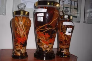 Lộc nhung, kỳ tử, đỗ trọng là những vị thuốc để ngâm rượu.
