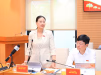 Bà Bạch Liên Hương thông tin tại hội nghị. Ảnh: QT