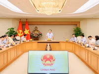 Quang cảnh buổi làm việc.