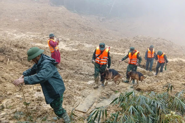 Bộ đội cùng chó nghiệp vụ đến hiện trường vụ sạt lở tìm kiếm nạn nhân mất tích.