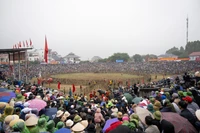 Cứ vào 16 - 17 tháng Giêng, người dân Hải Lựu lại tưng bừng tổ chức lễ hội chọi trâu.