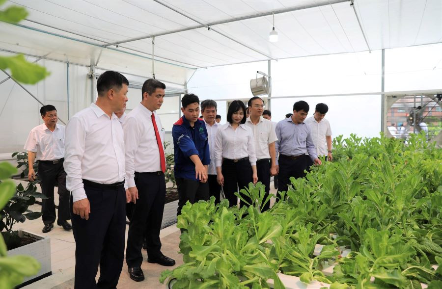 Các đại biểu thăm khu vực công trình &quot;Vườn thực nghiệm” của Công ty Supe Lâm Thao.