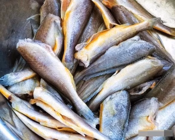 Những loại cá thích hợp cho trẻ ăn giúp tăng cường khả năng miễn dịch ảnh 5