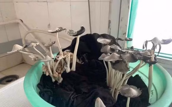 Cận cảnh chậu quần áo để quên sau mấy tháng hè. Ảnh: Na Phan.