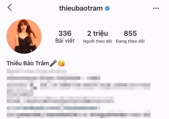 Thiều Bảo Trâm, Sơn Tùng, Hải Tú, sao việt