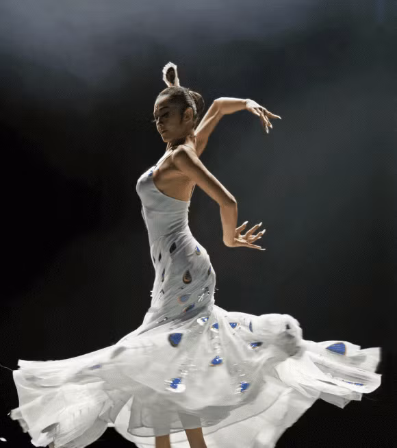 sao Hoa ngữ,Dương Lệ Bình