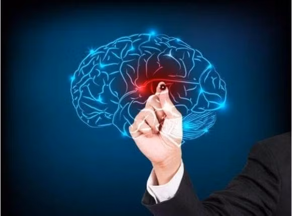 sức khỏe, dấu hiệu sức khỏe kém, dấu hiệu sức khỏe trên tay