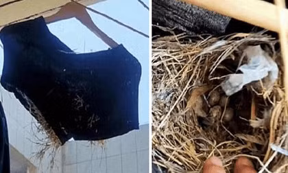 Quay lại kí túc xá sau 3 tháng nghỉ dịch, nam sinh tá hỏa phát hiện vật lạ trong chiếc quần bỏ quên 