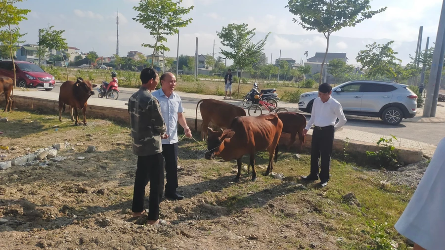 Trao bò giống sinh sản cho hộ nghèo xã Noong Hẹt, huyện Điện Biên.