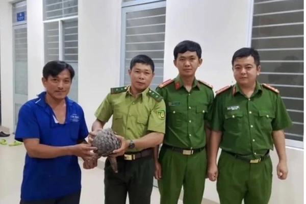 Anh Khánh Hải giao nộp con tê tê cho lực lượng chức năng.