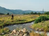 Trái với tin đồn 'đất dữ', Thung lũng Pankisi vô cùng yên ả. Ảnh: Wander-lush.org - Bbc.com