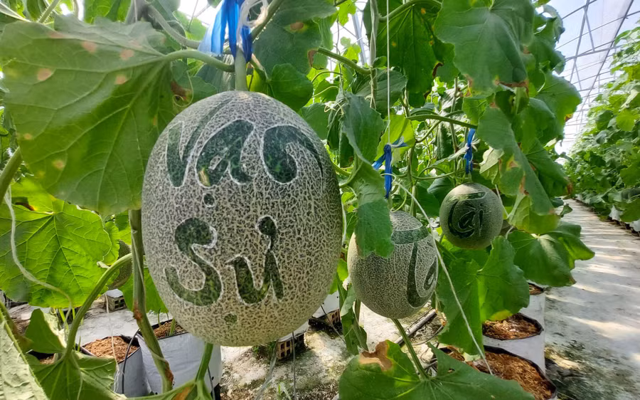 DL chữ Vạn sự.jpg