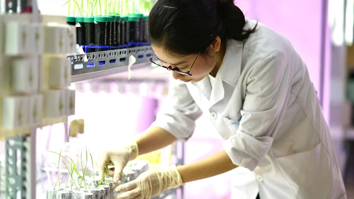 Sinh viên Trường Đại học Khoa học và Công nghệ Hà Nội.